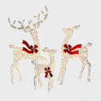 Lighted Christmas Reindeer Family, 3-Piece Outdoor LED Set - product view 2