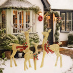 Lighted Christmas Reindeer Family, 3-Piece Outdoor LED Set - product view 10