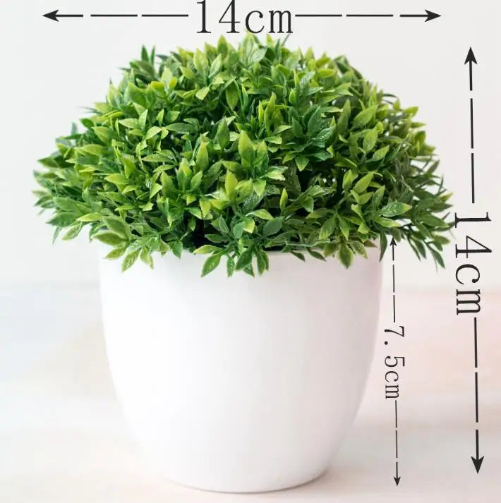 SacredHut | Small Tree Pot Bonsai Plants
