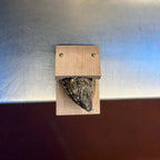 SacredHut | Premium wood handle oyster shell opener clamp