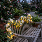 Botanical Garland String Lights — Camellia