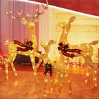 Lighted Christmas Reindeer Family, 3-Piece Outdoor LED Set - product view 11
