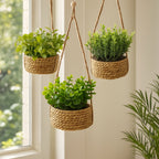 Hanging Artificial Plant in Woven Basket, Faux Eucalyptus or Rosemary — product view 2