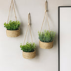Hanging Artificial Plant in Woven Basket, Faux Eucalyptus or Rosemary — product view 3