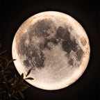 Full Moon LED Wall Lamp, 9.4 or 11.8 Inch Acrylic Wall Light — product view 8